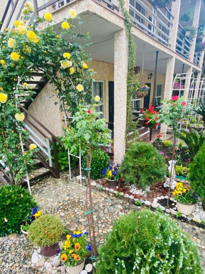 Мини-Отель Дарья В Пицунде Pițunda Exterior foto